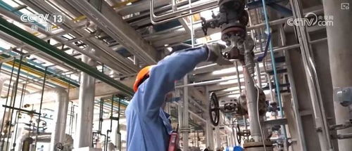 煉化工廠成鳥兒新家 綠色工業(yè)設(shè)計(jì)服務(wù)，盡顯工業(yè)之美