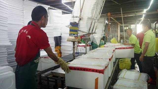 日配全國70噸！九江魚興港預制菜解鎖魚的N種吃法，讓鮮魚“游”上百姓餐桌